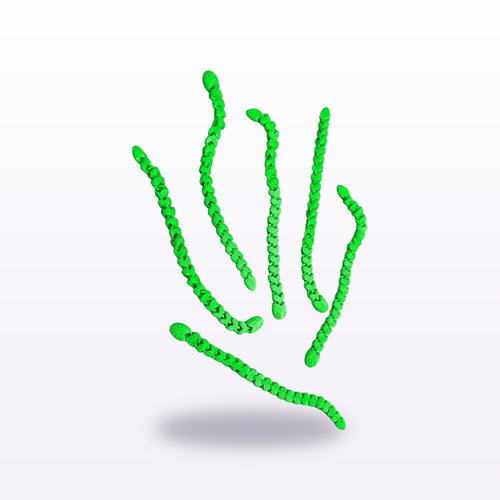 Formex 3D Printed Articulated Flexi Snake Toy 3-Pack – 18cm Each, NZ Made in Green