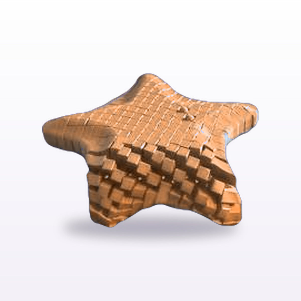Formex 3D Printed Articulated Flexi Starfish Toy – 13cm, NZ Made in Orange