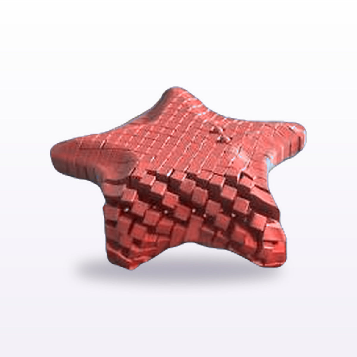 Formex 3D Printed Articulated Flexi Starfish Toy – 13cm, NZ Made in Red
