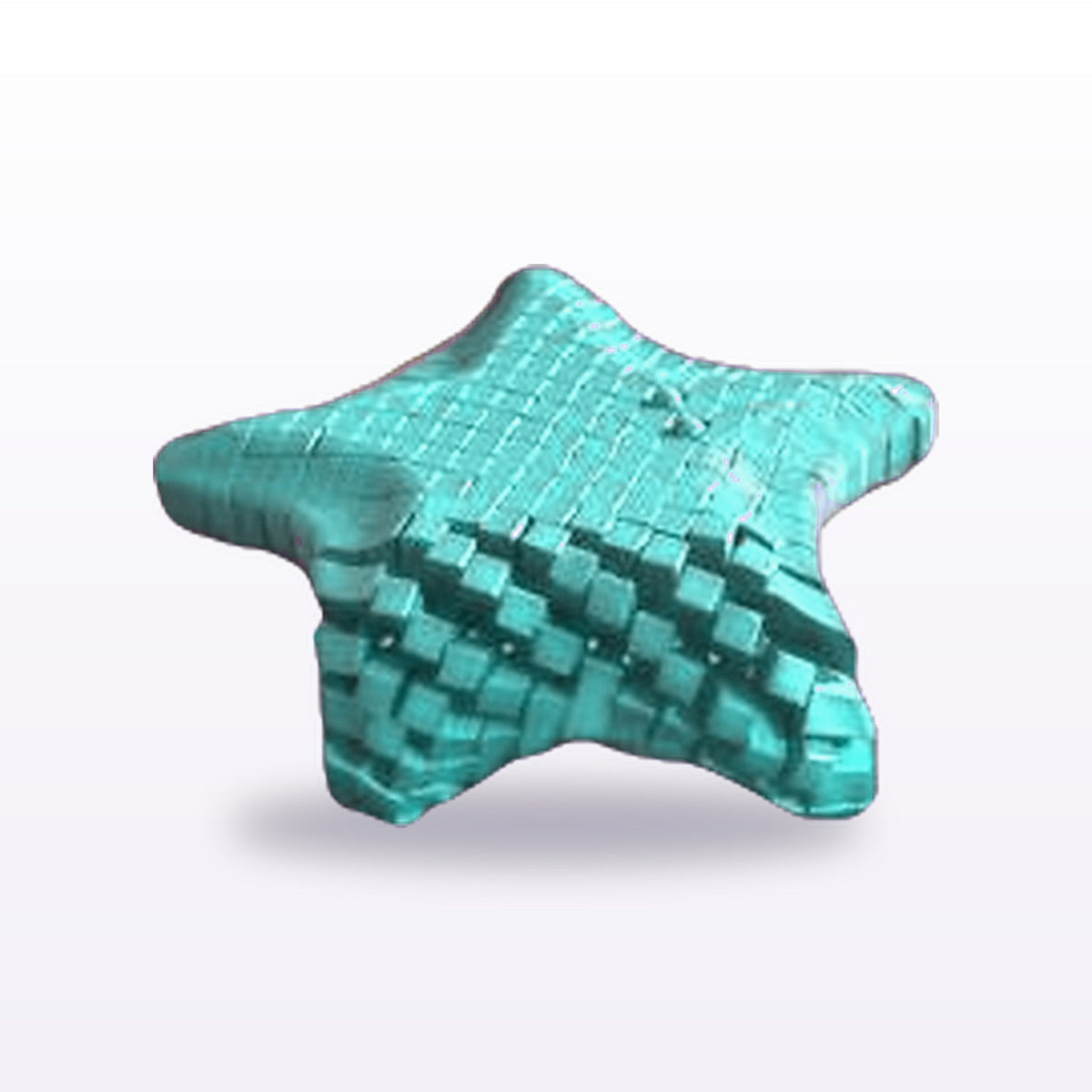 Formex 3D Printed Articulated Flexi Starfish Toy – 13cm, NZ Made in Teal