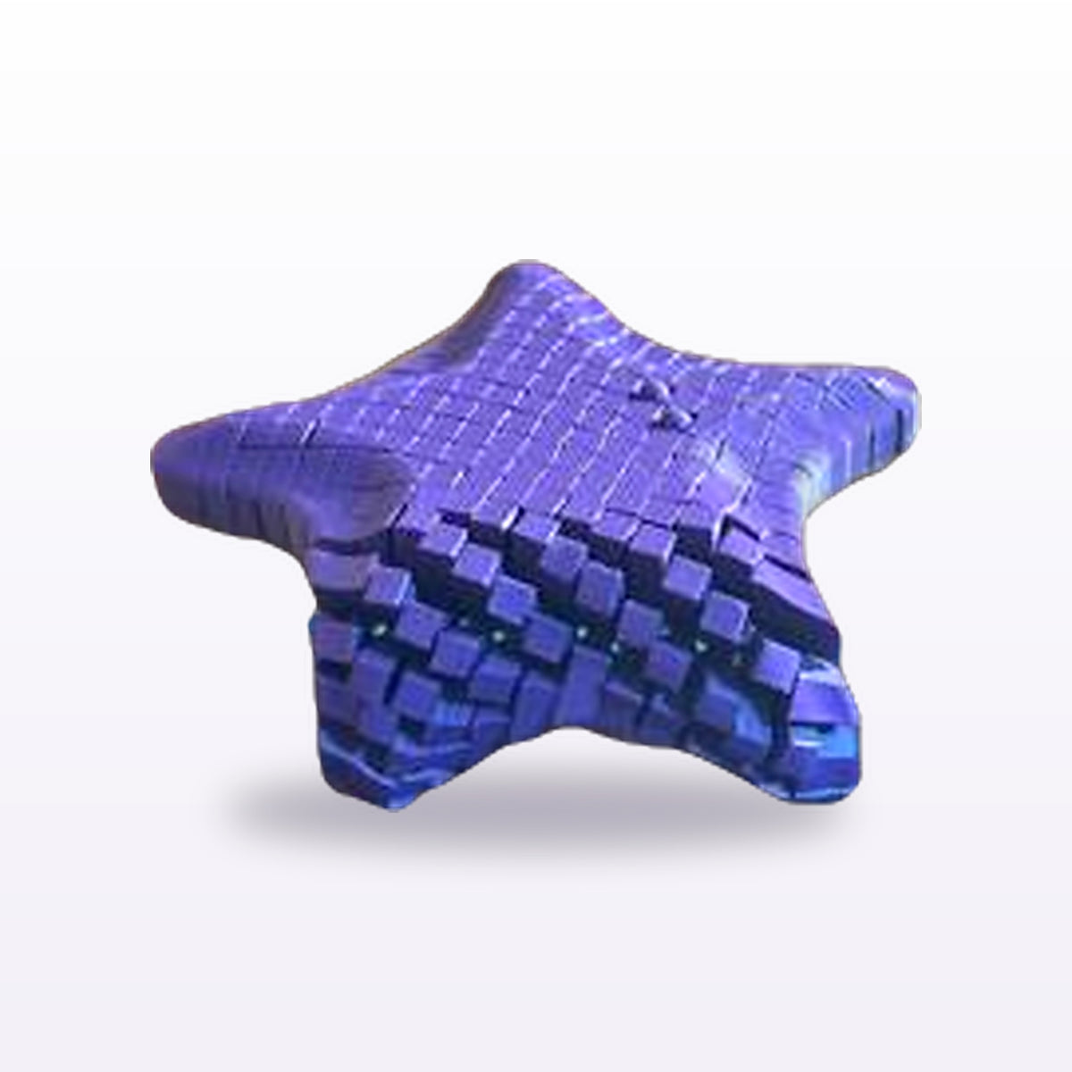 Flexi Starfish — fully articulated, 3D printed in Auckland New Zealand